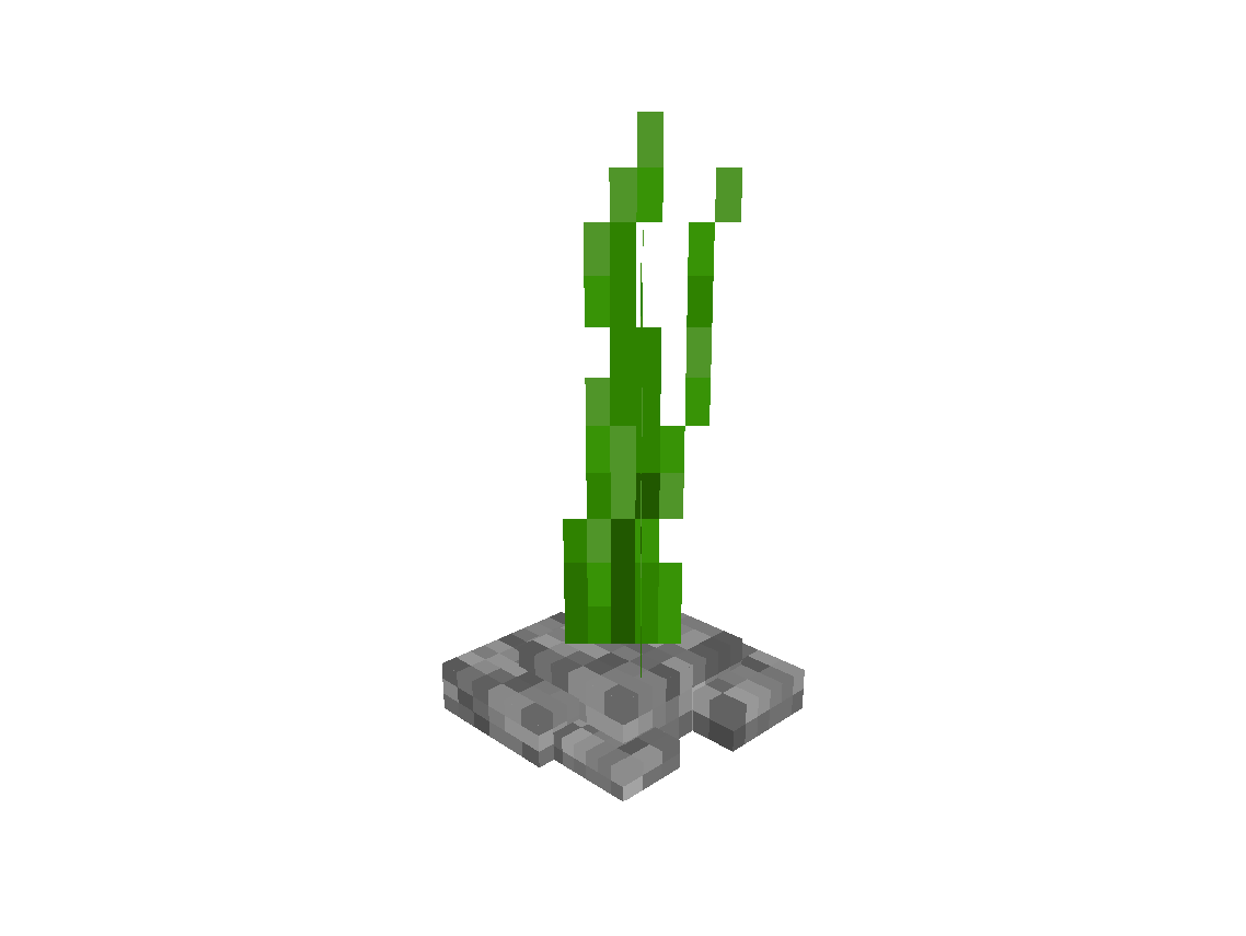Large Kelp