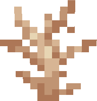Small Brown Coral