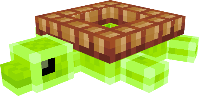 Turtle Float