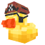 Pirate Duck