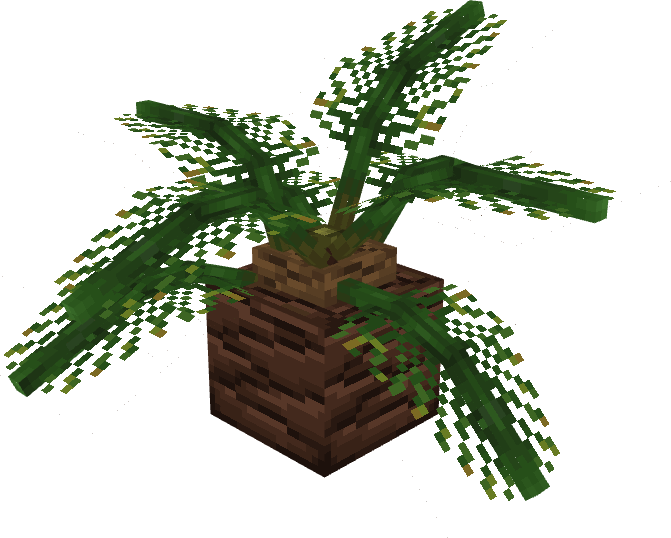 Small Palm Tree