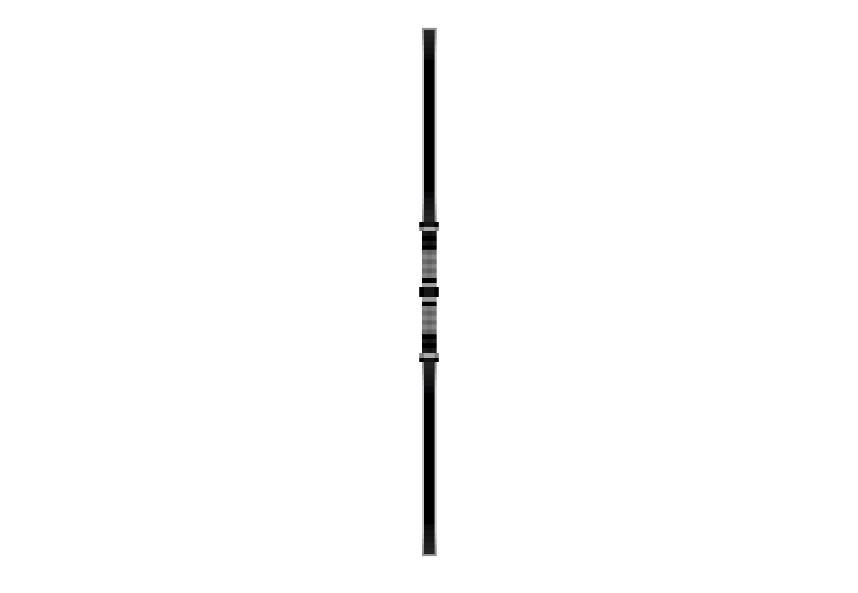 Black Dual Saber