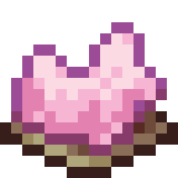 Pink Seahorse Pet
