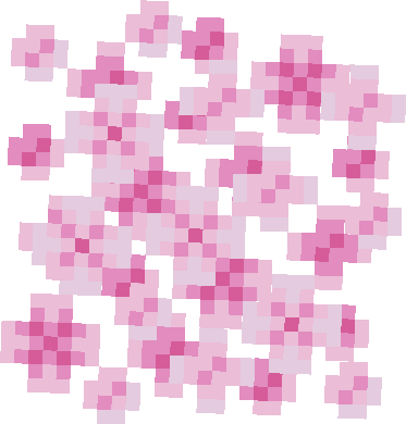 Sakura Flower Path