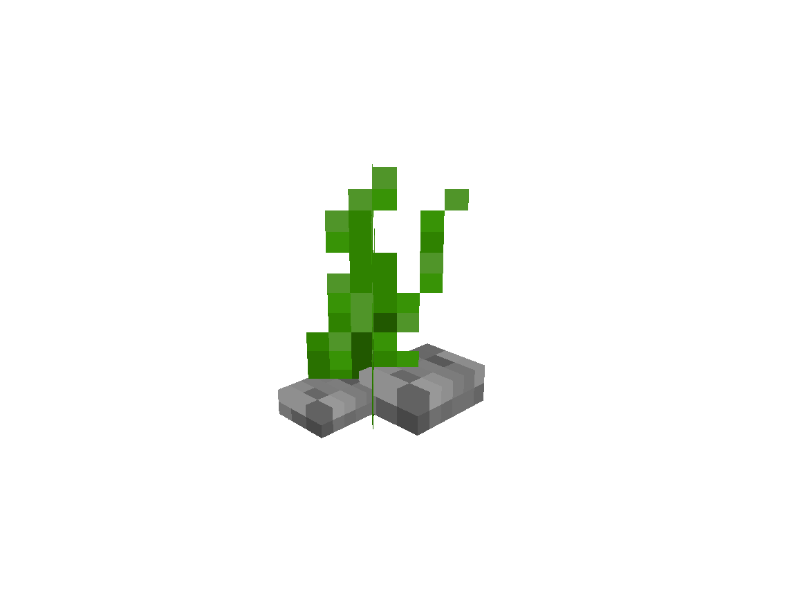 Small Kelp