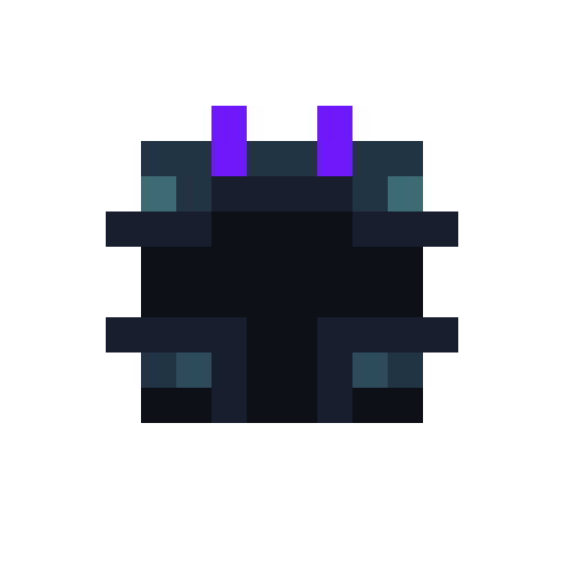 Echo Helmet