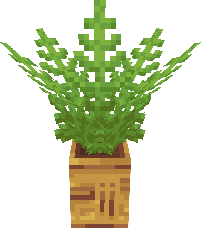 Island Big Plant