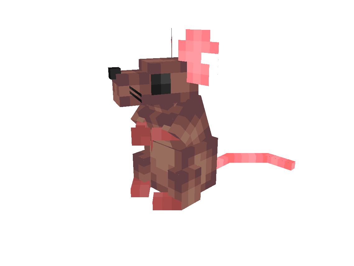 Brown Rat