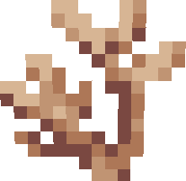 Large Brown Coral