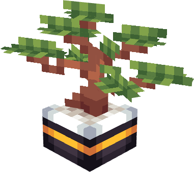 Bonsai Tree