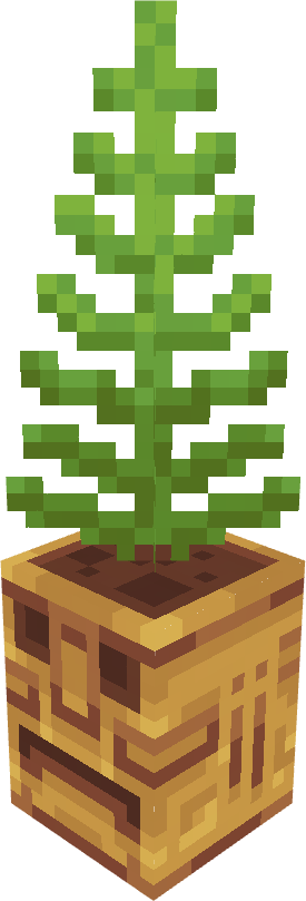 Island Fern