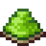 Green Seahorse Pet