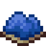 Blue Seahorse Pet