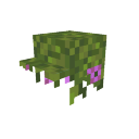 Mossy Hat