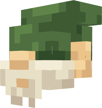 Green Gnome Pet