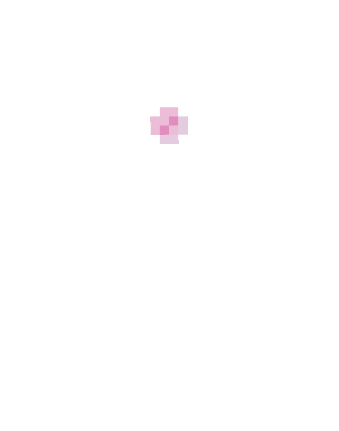 Sakura Flower Moving Path