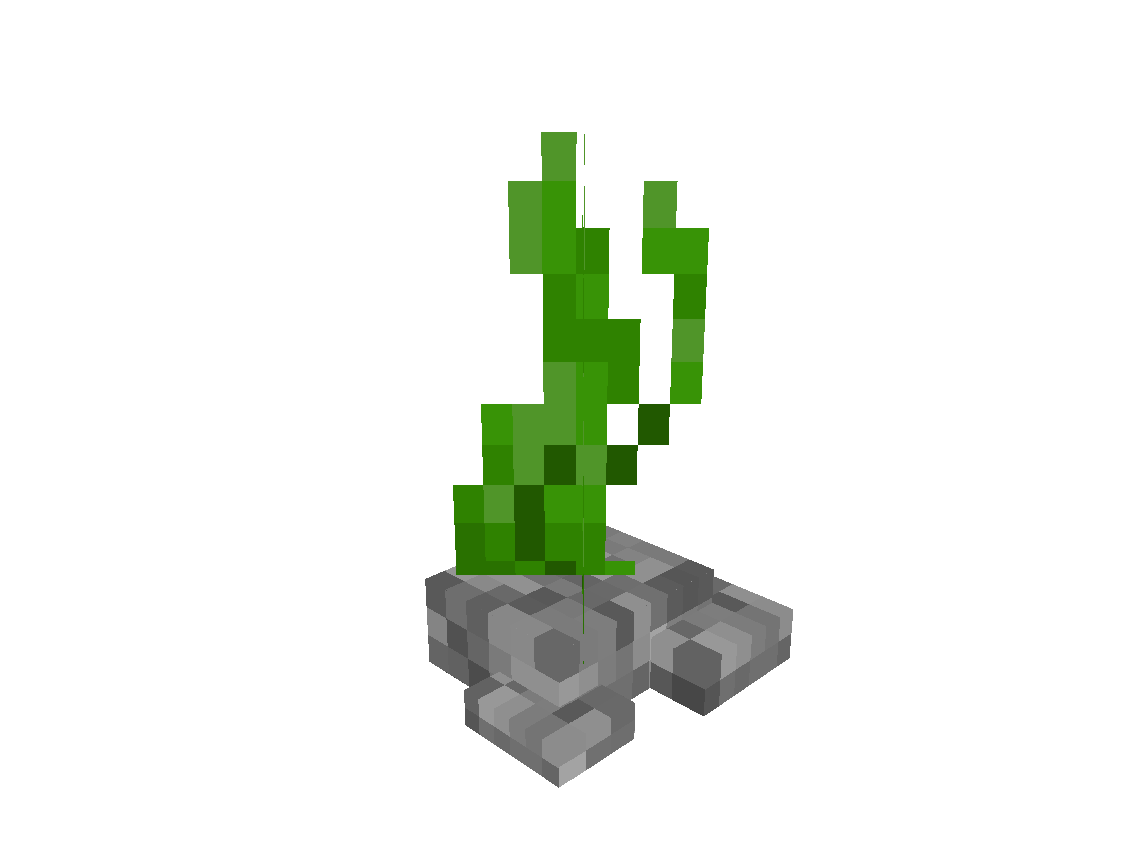 Medium Kelp