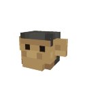 Gray Monkey Pet