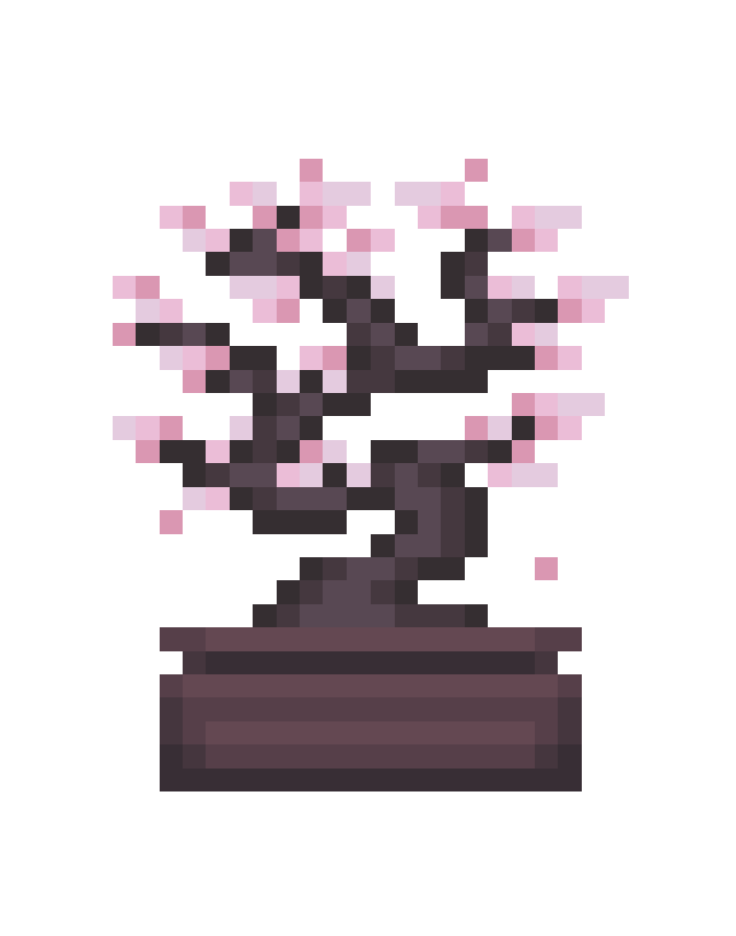 Sakura Bonsai