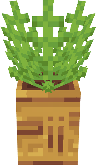 Island Small Plant