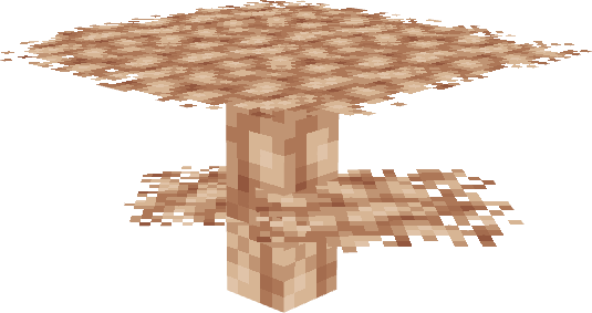 Table Coral