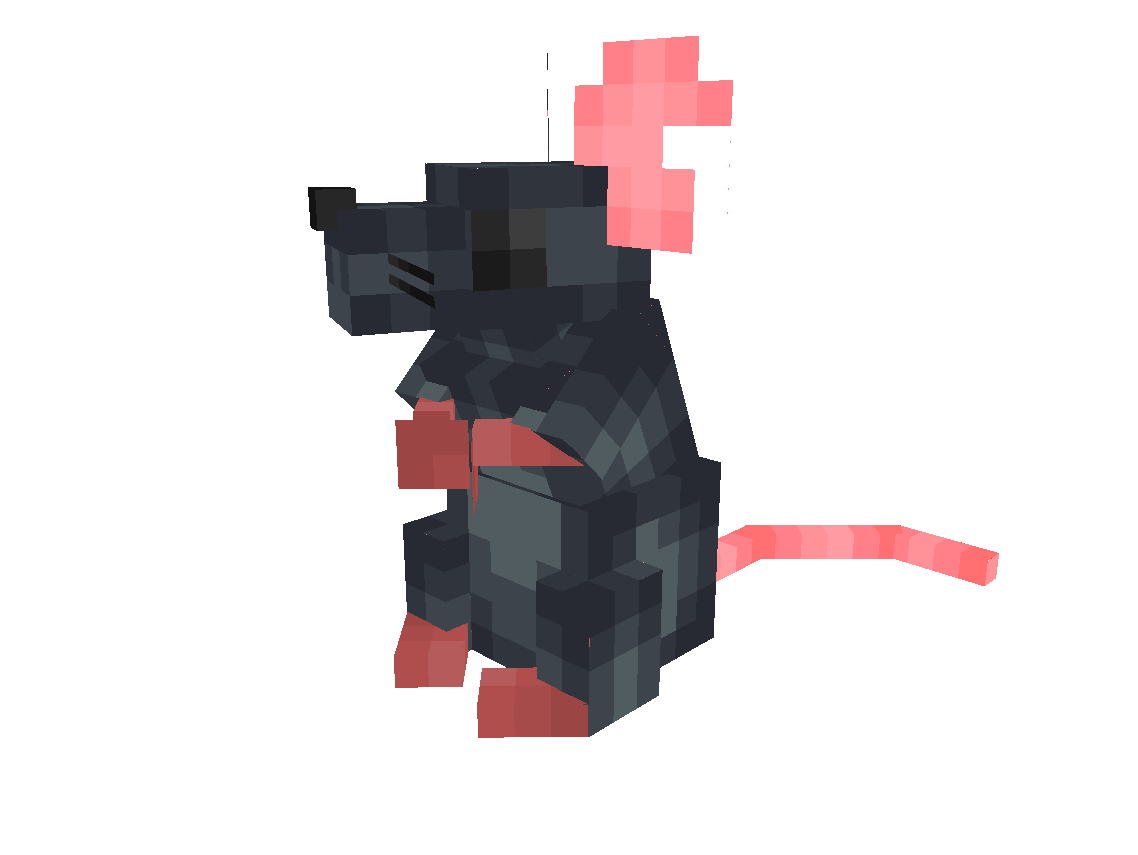 Black Rat